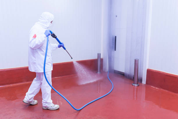 Best Patio and Deck Pressure Washing  in Florence, TX