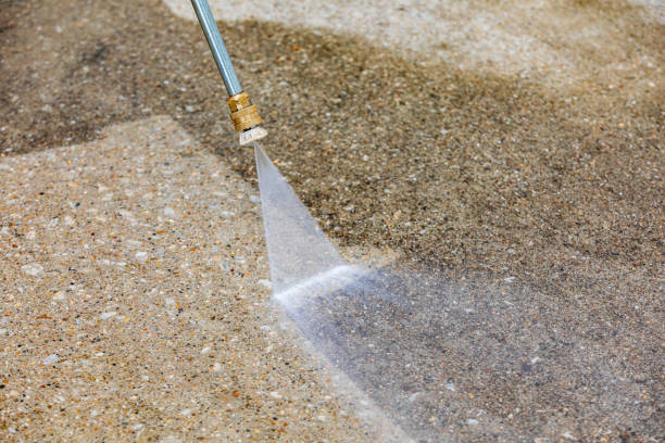 Animal Enclosure Cleaning in Florence, TX